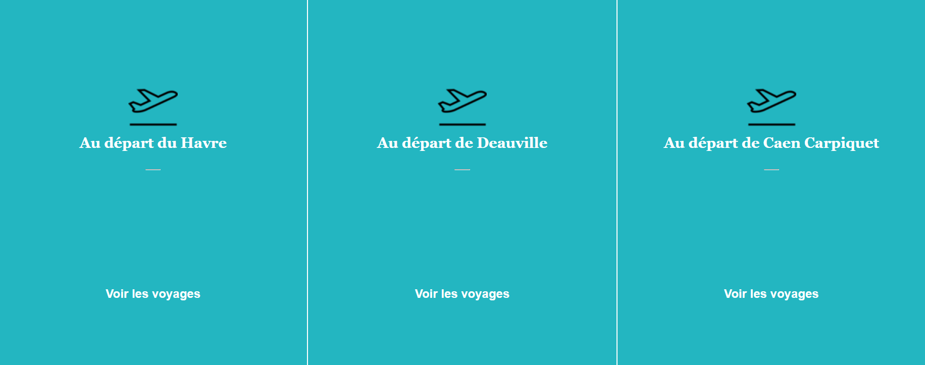 Prévisualisation du site internet